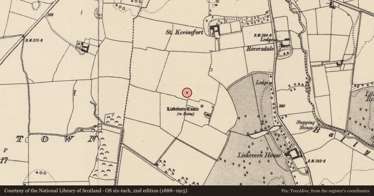Ordnance Survey six-inch map, 2nd edition (1888–1915) covering the location of Earthwork, Liskeveen, County Tipperary North, with a pin at the register's coordinates