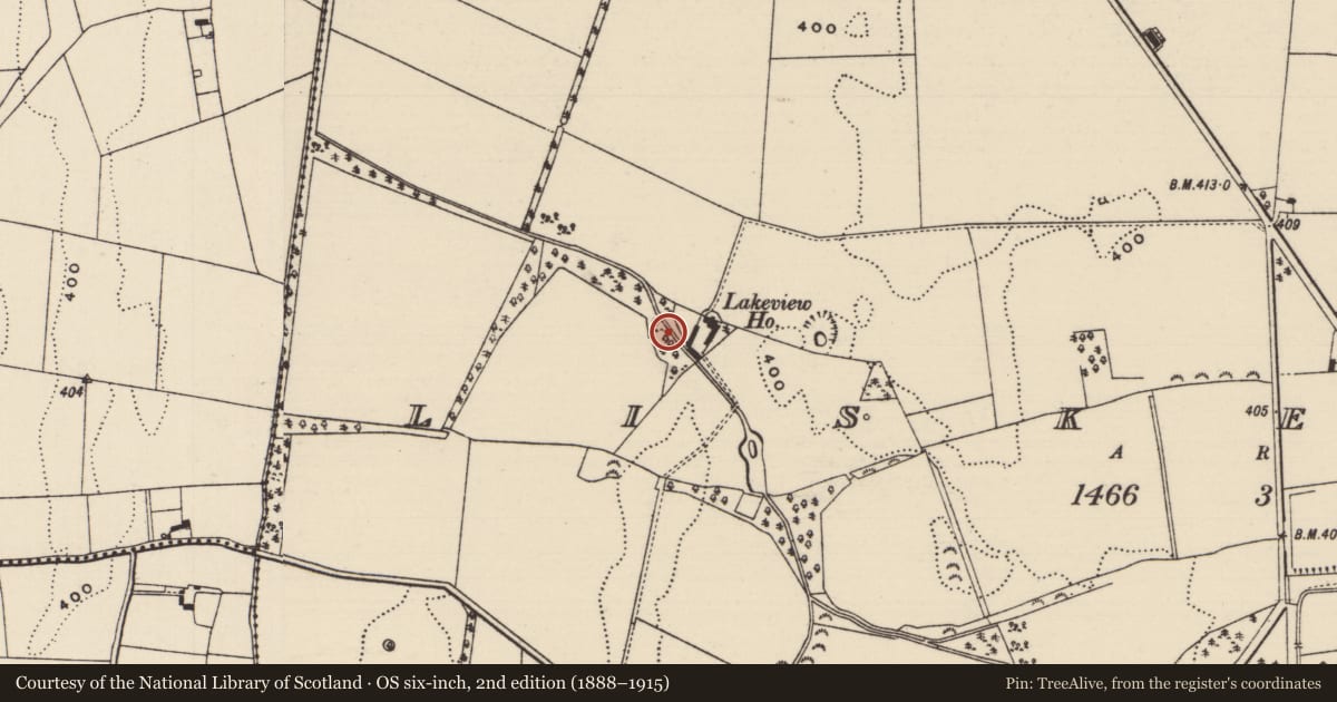 Ordnance Survey six-inch map, 2nd edition (1888–1915) covering the location of Water mill - unclassified, Liskeveen, County Tipperary North, with a pin at the register's coordinates