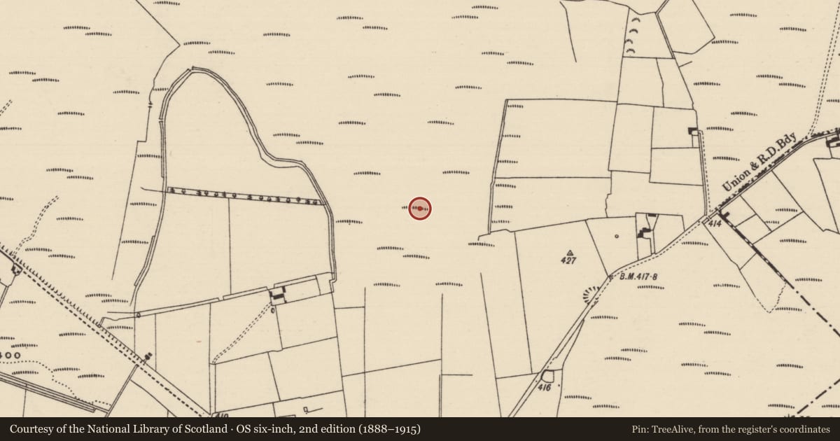 Ordnance Survey six-inch map, 2nd edition (1888–1915) covering the location of Post row - peatland, Ballybeg (Two-mile-borris Par.), County Tipperary North, with a pin at the register's coordinates