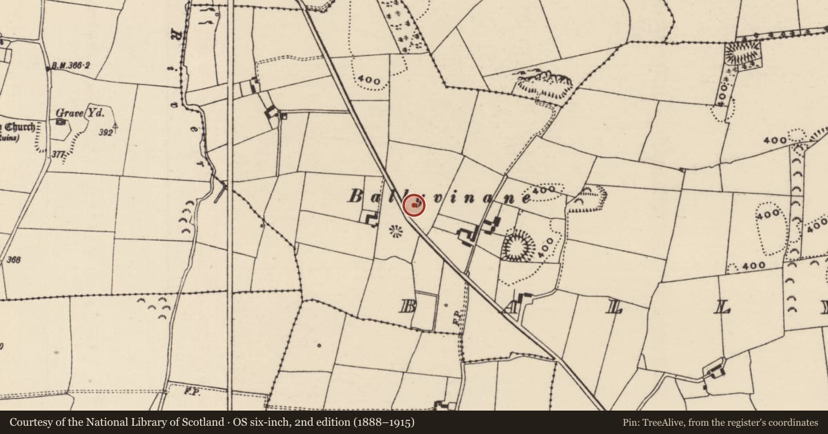 Ordnance Survey six-inch map, 2nd edition (1888–1915) covering the location of Enclosure, Ballydavid (Twomileborris Par.), County Tipperary North, with a pin at the register's coordinates
