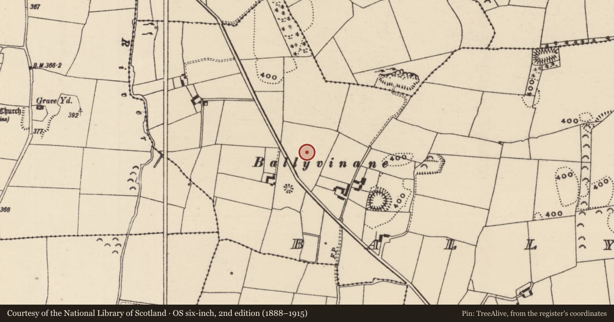 Ordnance Survey six-inch map, 2nd edition (1888–1915) covering the location of Kiln - corn-drying, Ballydavid (Twomileborris Par.), County Tipperary North, with a pin at the register's coordinates
