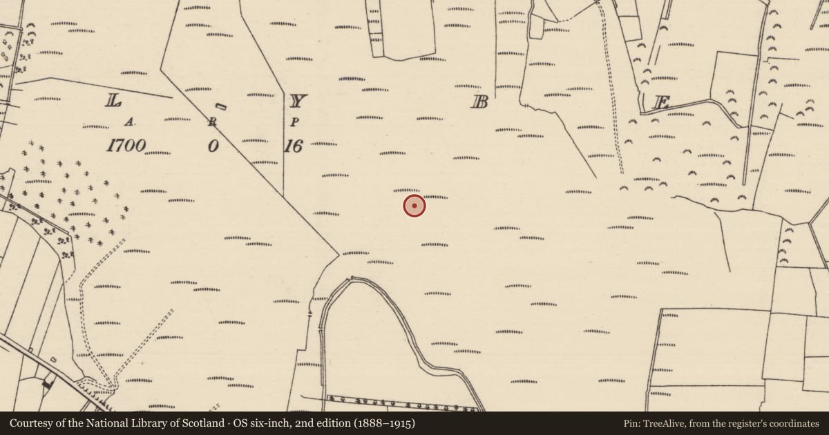 Ordnance Survey six-inch map, 2nd edition (1888–1915) covering the location of Platform - peatland, Ballybeg (Aghnameadle Par.), County Tipperary North, with a pin at the register's coordinates