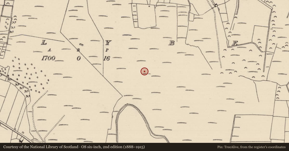 Ordnance Survey six-inch map, 2nd edition (1888–1915) covering the location of Platform - peatland, Ballybeg (Aghnameadle Par.), County Tipperary North, with a pin at the register's coordinates