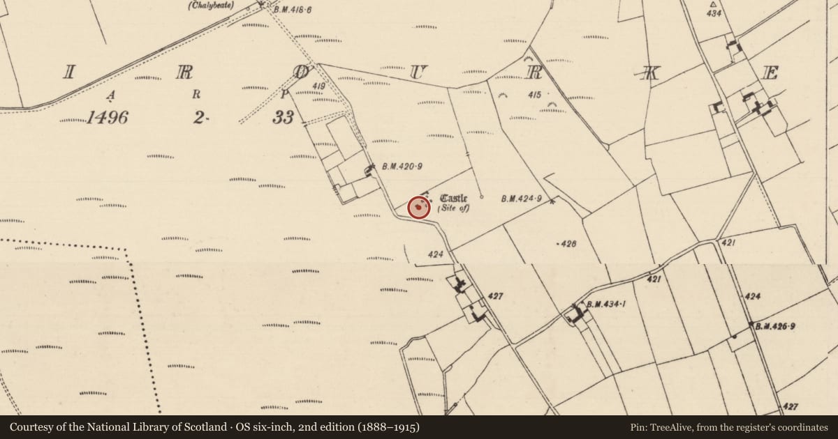 Ordnance Survey six-inch map, 2nd edition (1888–1915) covering the location of Castle - unclassified, Inchirourke, County Tipperary South, with a pin at the register's coordinates
