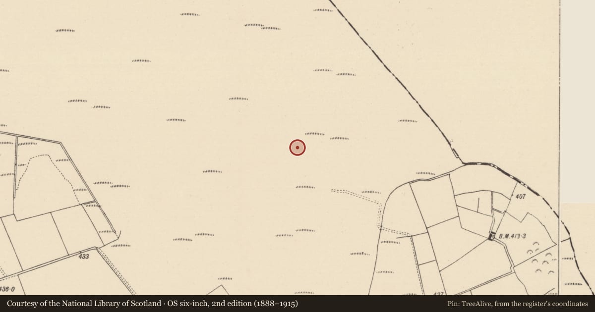 Ordnance Survey six-inch map, 2nd edition (1888–1915) covering the location of Road - class 1 togher, Inchirourke, County Tipperary South, with a pin at the register's coordinates