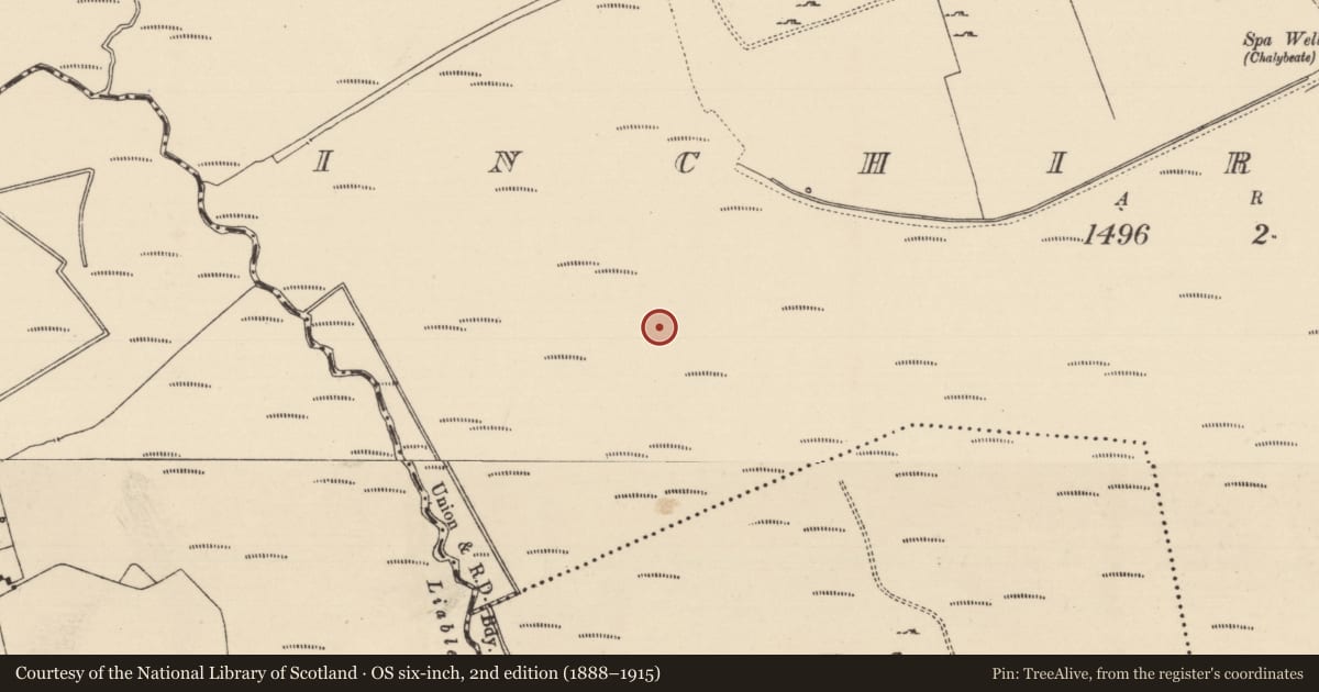 Ordnance Survey six-inch map, 2nd edition (1888–1915) covering the location of Road - class 1 togher, Inchirourke, County Tipperary South, with a pin at the register's coordinates