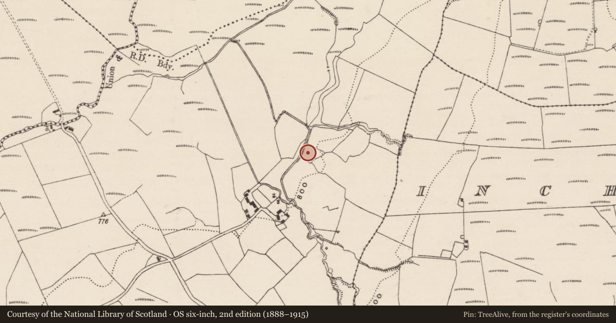 Ordnance Survey six-inch map, 2nd edition (1888–1915) covering the location of Enclosure, Cummer More, County Tipperary South, with a pin at the register's coordinates