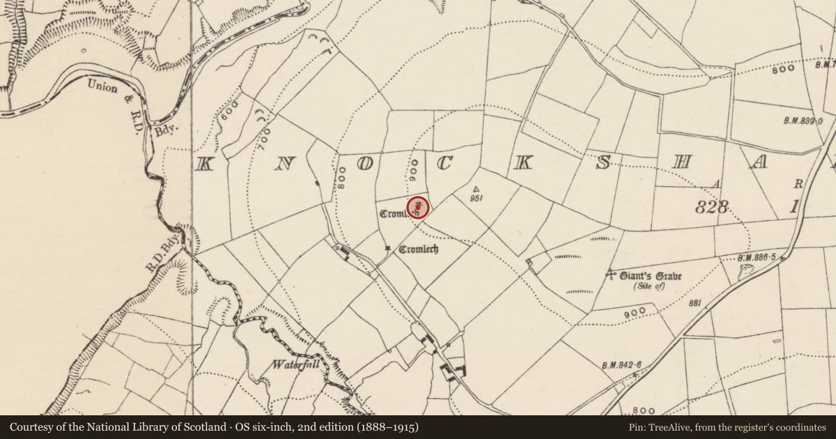 Ordnance Survey six-inch map, 2nd edition (1888–1915) covering the location of Megalithic tomb - wedge tomb, Knockshanbrittas, County Tipperary South, with a pin at the register's coordinates