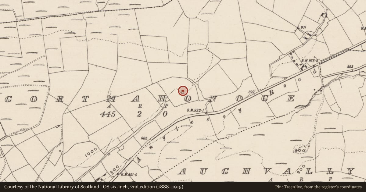 Ordnance Survey six-inch map, 2nd edition (1888–1915) covering the location of Standing stone, Gortmahonoge, County Tipperary South, with a pin at the register's coordinates