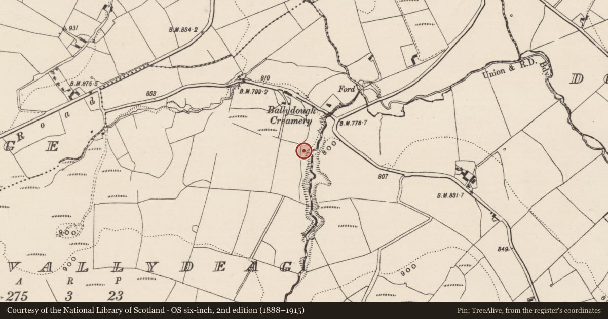 Ordnance Survey six-inch map, 2nd edition (1888–1915) covering the location of Hut site, Aughvallydeag, County Tipperary South, with a pin at the register's coordinates