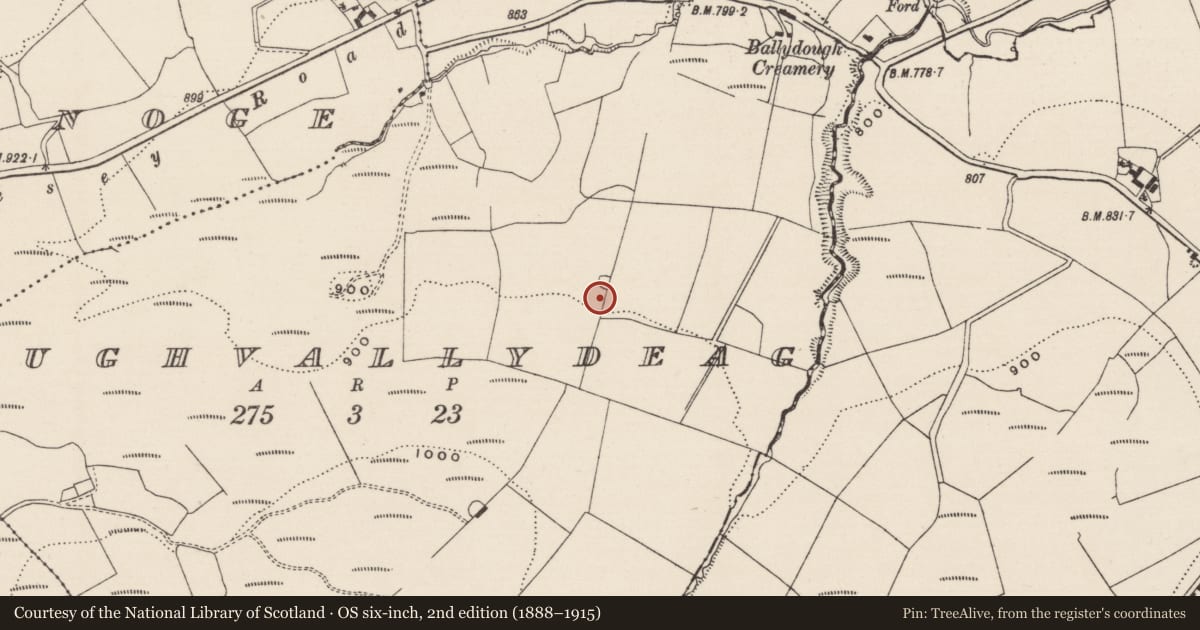 Ordnance Survey six-inch map, 2nd edition (1888–1915) covering the location of Fulacht fia, Aughvallydeag, County Tipperary South, with a pin at the register's coordinates