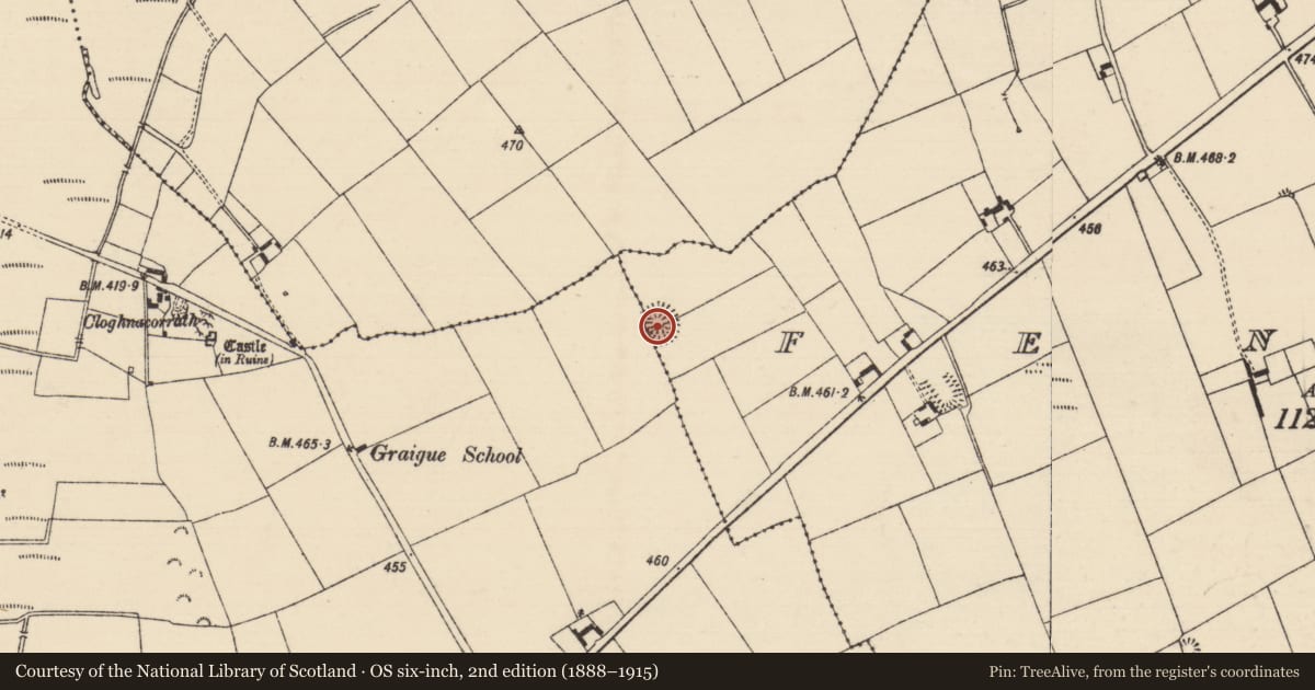 Ordnance Survey six-inch map, 2nd edition (1888–1915) covering the location of Ringfort - rath, Fennor, Graiguepadeen, County Tipperary South, with a pin at the register's coordinates