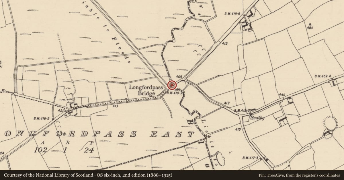 Ordnance Survey six-inch map, 2nd edition (1888–1915) covering the location of Bridge, Graiguepadeen, County Tipperary South, with a pin at the register's coordinates