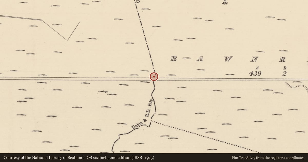 Ordnance Survey six-inch map, 2nd edition (1888–1915) covering the location of Road - class 2 togher, Bawnreagh, County Tipperary South, with a pin at the register's coordinates