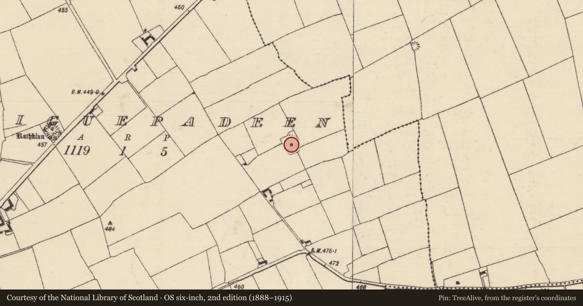 Ordnance Survey six-inch map, 2nd edition (1888–1915) covering the location of Platform, Graiguepadeen, County Tipperary South, with a pin at the register's coordinates