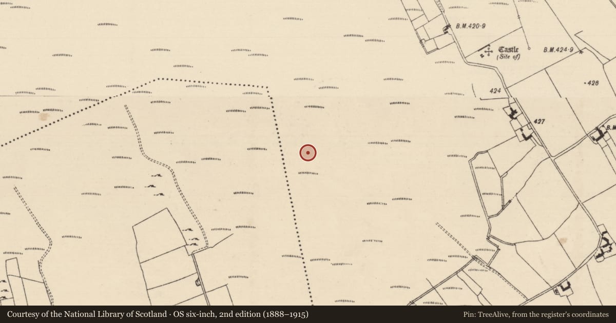 Ordnance Survey six-inch map, 2nd edition (1888–1915) covering the location of Road - unclassified togher, Graiguepadeen, Inchirourke, County Tipperary South, with a pin at the register's coordinates