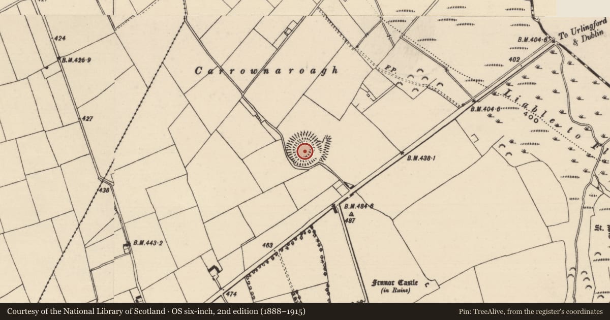 Ordnance Survey six-inch map, 2nd edition (1888–1915) covering the location of Castle - ringwork, Fennor, County Tipperary South, with a pin at the register's coordinates