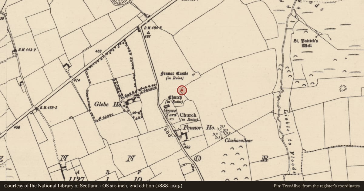 Ordnance Survey six-inch map, 2nd edition (1888–1915) covering the location of Settlement deserted - medieval, Fennor, County Tipperary South, with a pin at the register's coordinates