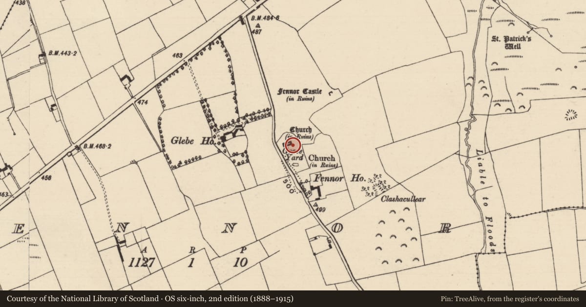 Ordnance Survey six-inch map, 2nd edition (1888–1915) covering the location of Graveslab, Fennor, County Tipperary South, with a pin at the register's coordinates