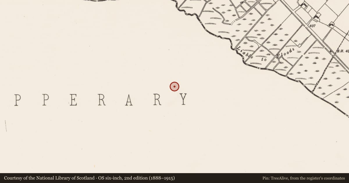 Ordnance Survey six-inch map, 2nd edition (1888–1915) covering the location of Settlement deserted - medieval, Urard, County Tipperary South, with a pin at the register's coordinates