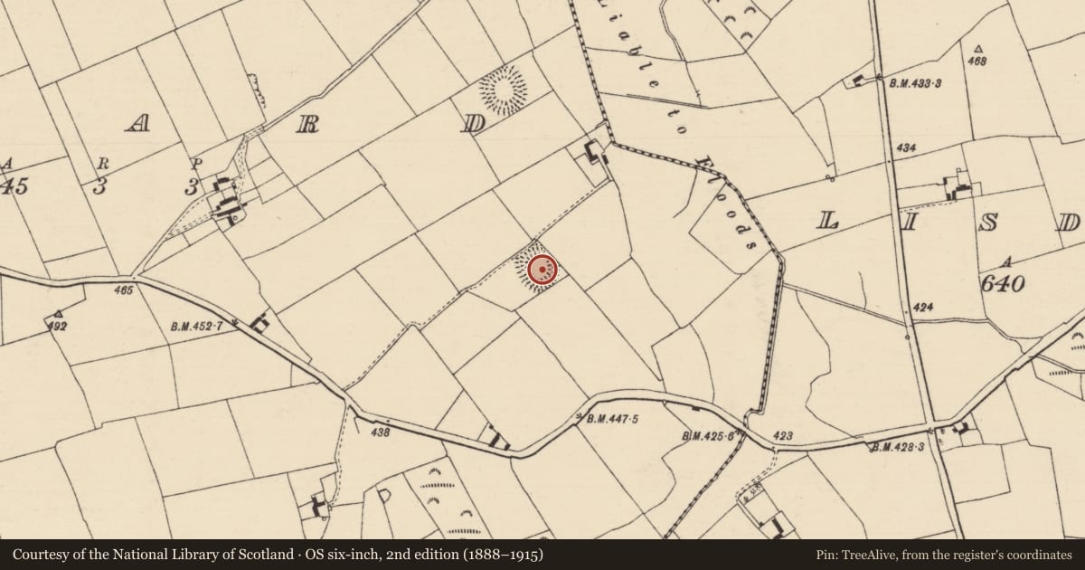 Ordnance Survey six-inch map, 2nd edition (1888–1915) covering the location of Ringfort - rath, Urard, County Tipperary South, with a pin at the register's coordinates