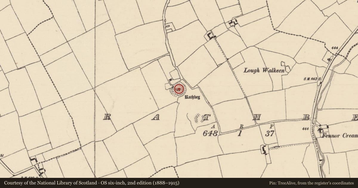 Ordnance Survey six-inch map, 2nd edition (1888–1915) covering the location of Ringfort - rath, Rathbeg, County Tipperary South, with a pin at the register's coordinates