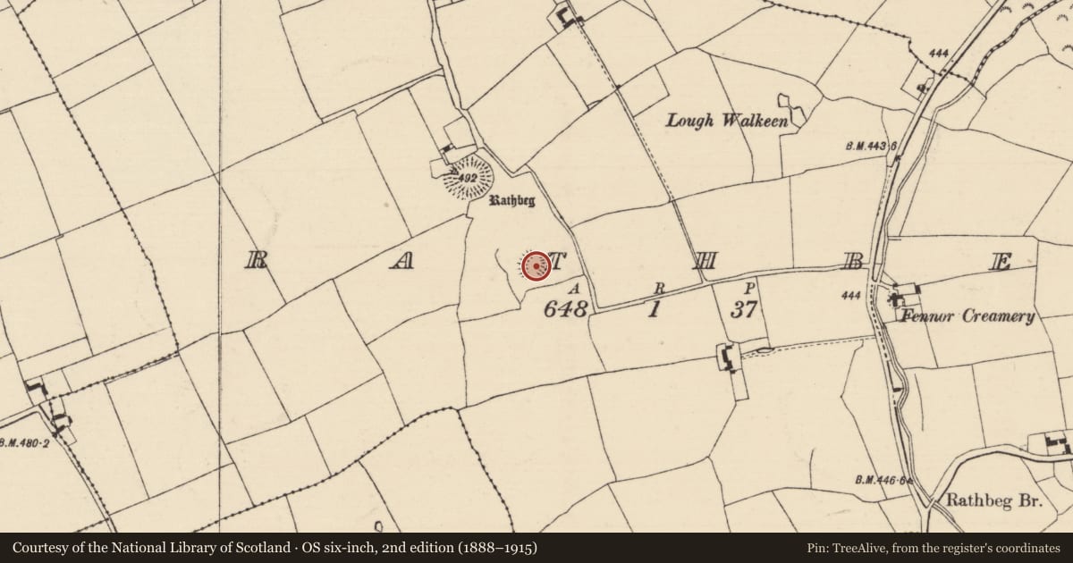 Ordnance Survey six-inch map, 2nd edition (1888–1915) covering the location of Enclosure, Rathbeg, County Tipperary South, with a pin at the register's coordinates