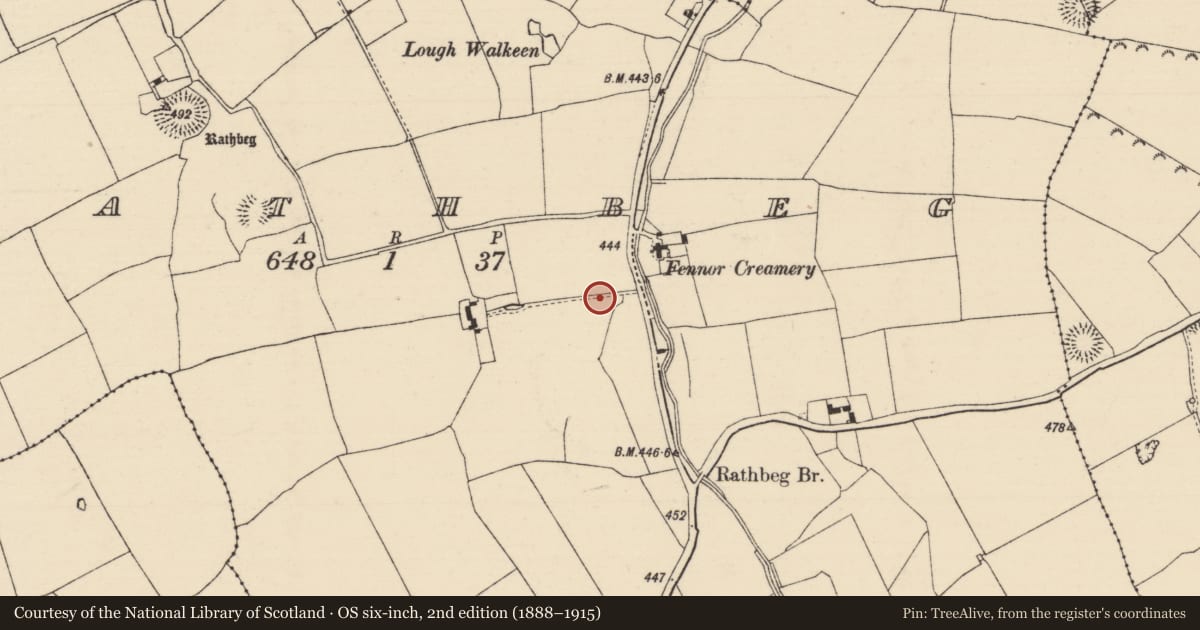 Ordnance Survey six-inch map, 2nd edition (1888–1915) covering the location of Enclosure, Rathbeg, County Tipperary South, with a pin at the register's coordinates