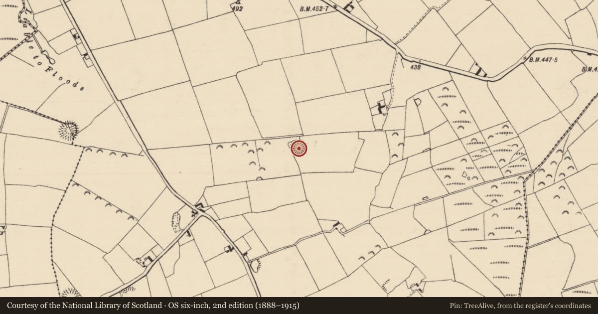 Ordnance Survey six-inch map, 2nd edition (1888–1915) covering the location of Ringfort - rath, Urard, County Tipperary South, with a pin at the register's coordinates