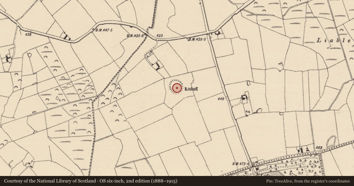 Ordnance Survey six-inch map, 2nd edition (1888–1915) covering the location of Ringfort - rath, Lisduff (Kilcooly Par.), County Tipperary South, with a pin at the register's coordinates