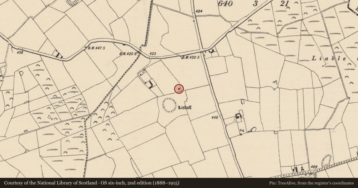Ordnance Survey six-inch map, 2nd edition (1888–1915) covering the location of Enclosure, Lisduff (Kilcooly Par.), County Tipperary South, with a pin at the register's coordinates