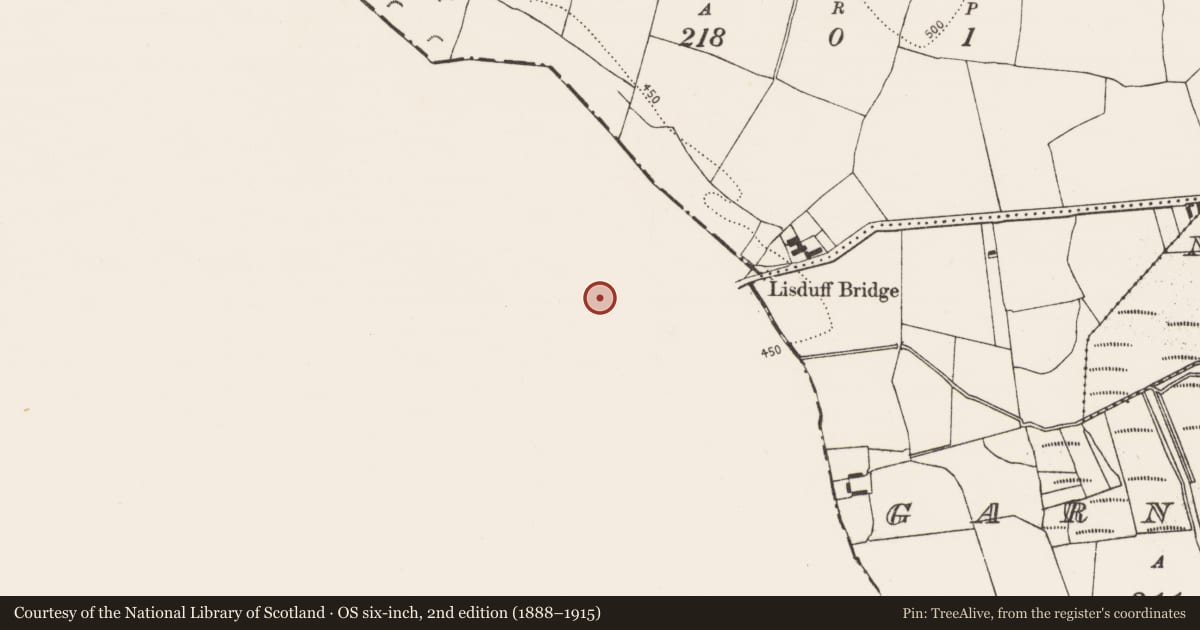 Ordnance Survey six-inch map, 2nd edition (1888–1915) covering the location of Field system, Lisduff (Kilcooly Par.), County Tipperary South, with a pin at the register's coordinates