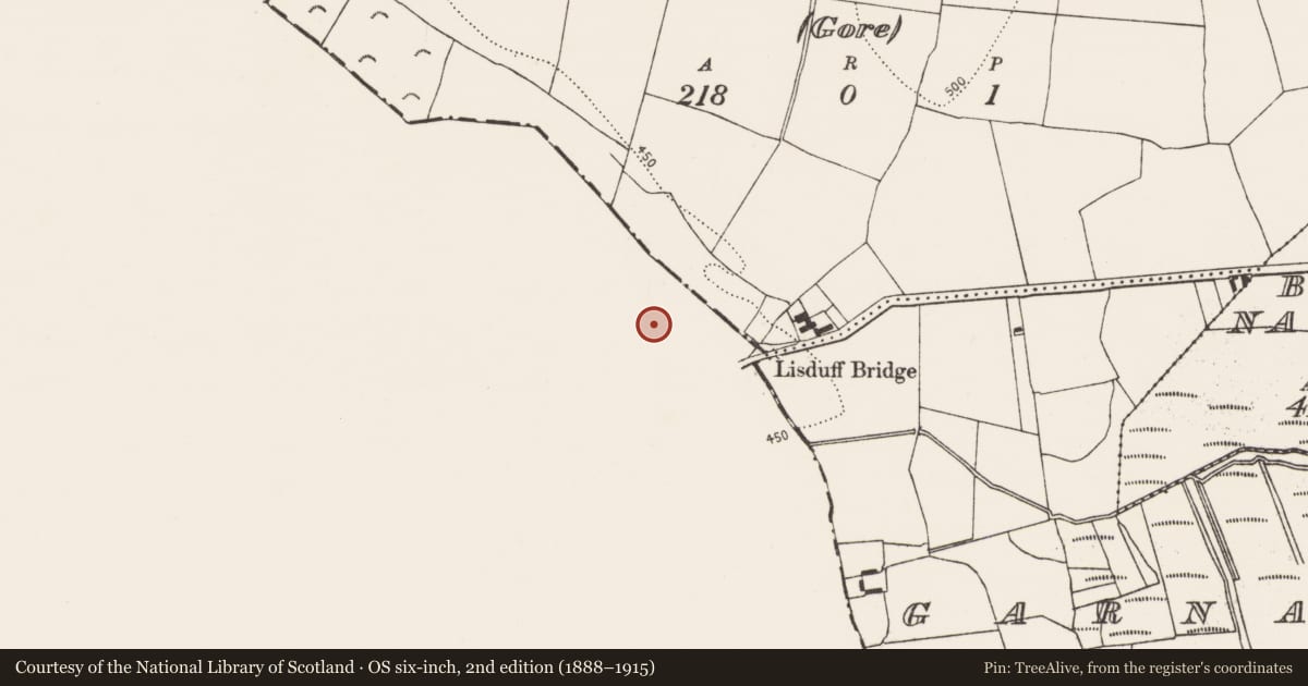 Ordnance Survey six-inch map, 2nd edition (1888–1915) covering the location of Barrow - ditch barrow, Lisduff (Kilcooly Par.), County Tipperary South, with a pin at the register's coordinates