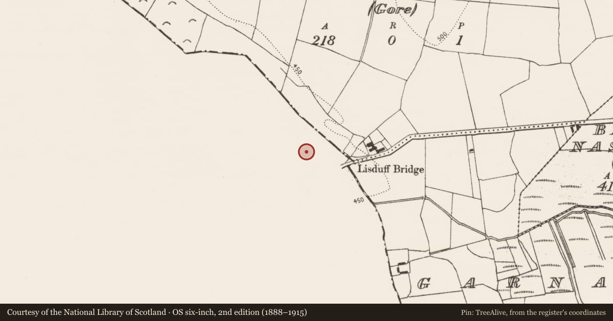 Ordnance Survey six-inch map, 2nd edition (1888–1915) covering the location of Barrow - ditch barrow, Lisduff (Kilcooly Par.), County Tipperary South, with a pin at the register's coordinates