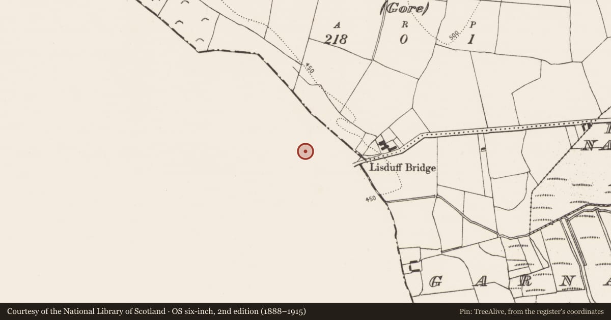 Ordnance Survey six-inch map, 2nd edition (1888–1915) covering the location of Barrow - ditch barrow, Lisduff (Kilcooly Par.), County Tipperary South, with a pin at the register's coordinates
