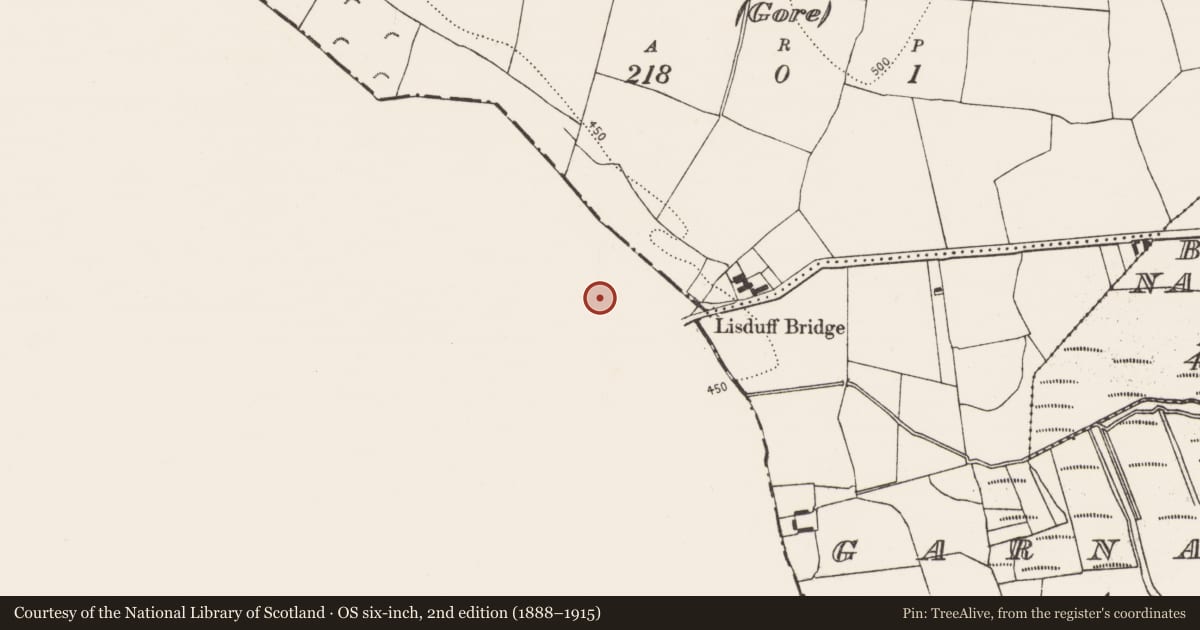 Ordnance Survey six-inch map, 2nd edition (1888–1915) covering the location of Barrow - ditch barrow, Lisduff (Kilcooly Par.), County Tipperary South, with a pin at the register's coordinates