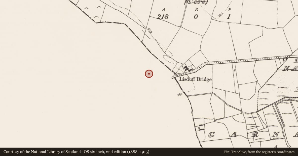 Ordnance Survey six-inch map, 2nd edition (1888–1915) covering the location of Barrow - ditch barrow, Lisduff (Kilcooly Par.), County Tipperary South, with a pin at the register's coordinates