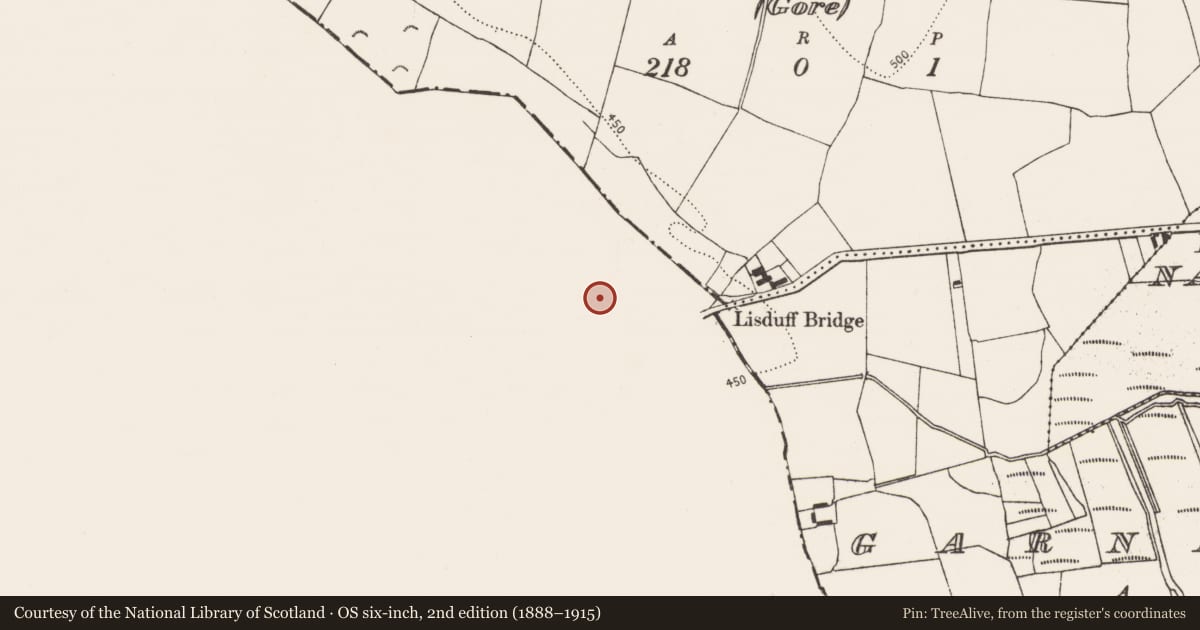 Ordnance Survey six-inch map, 2nd edition (1888–1915) covering the location of Barrow - ditch barrow, Lisduff (Kilcooly Par.), County Tipperary South, with a pin at the register's coordinates