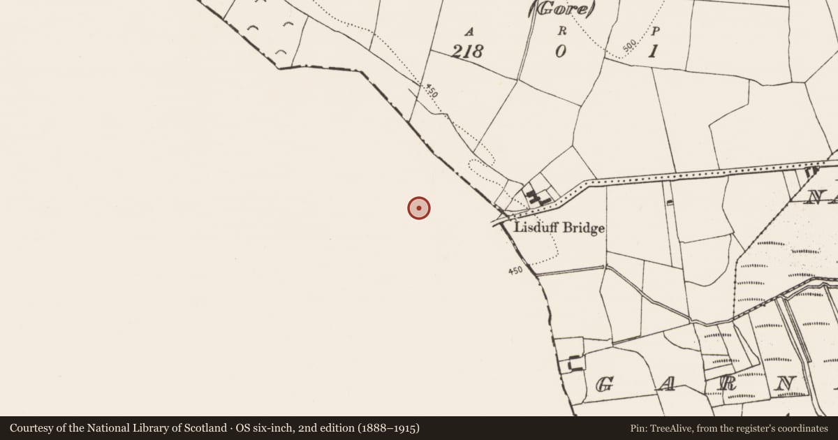 Ordnance Survey six-inch map, 2nd edition (1888–1915) covering the location of Barrow - ditch barrow, Lisduff (Kilcooly Par.), County Tipperary South, with a pin at the register's coordinates