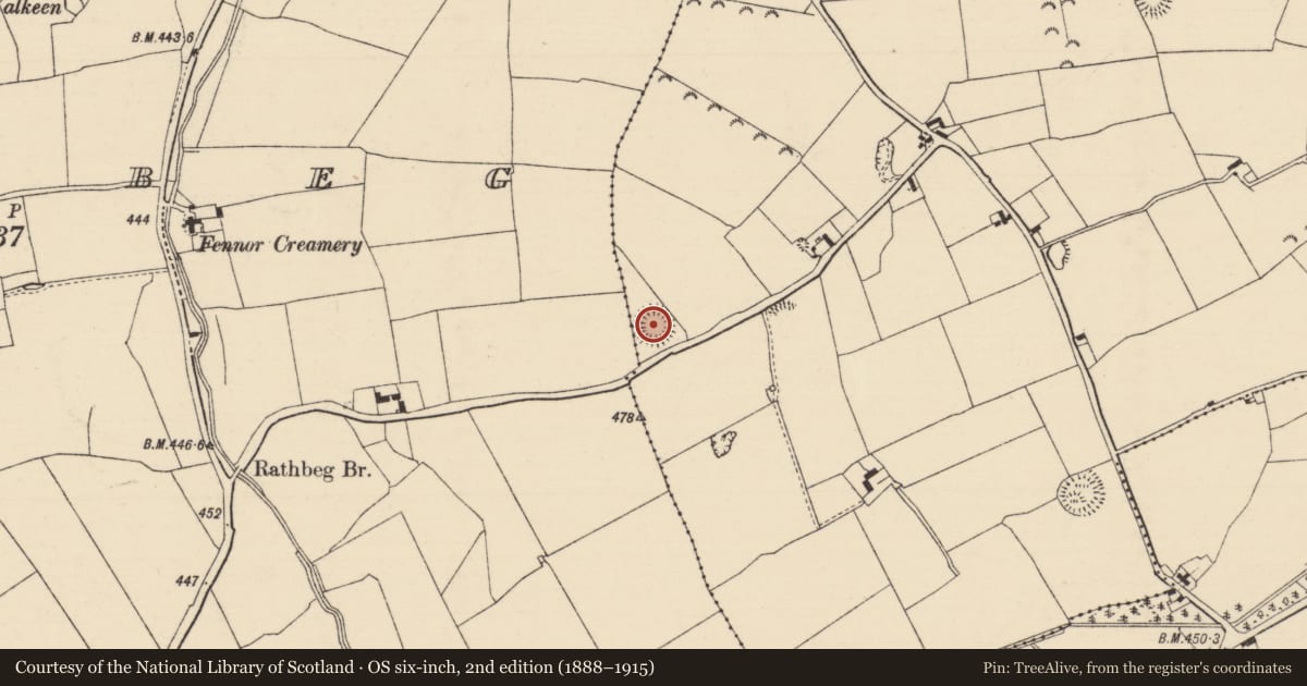 Ordnance Survey six-inch map, 2nd edition (1888–1915) covering the location of Ringfort - rath, Urard, County Tipperary South, with a pin at the register's coordinates