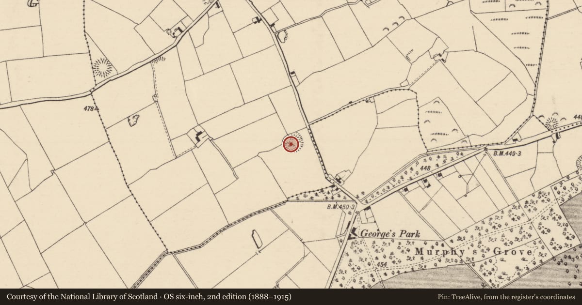 Ordnance Survey six-inch map, 2nd edition (1888–1915) covering the location of Enclosure, Urard, County Tipperary South, with a pin at the register's coordinates