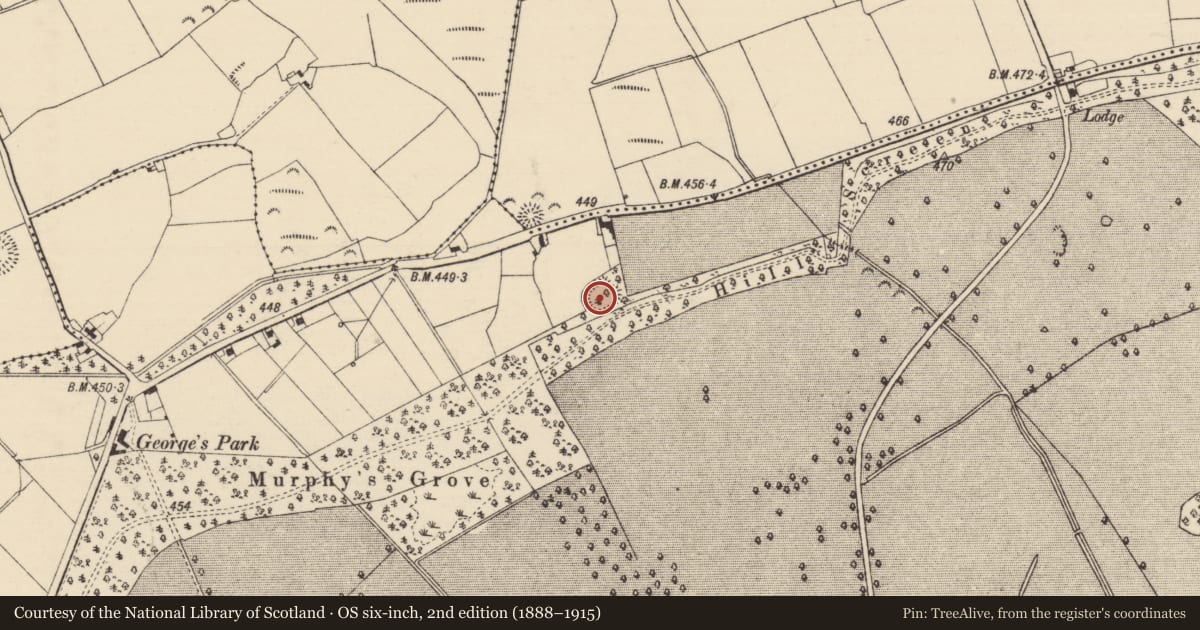 Ordnance Survey six-inch map, 2nd edition (1888–1915) covering the location of Enclosure, Kilcoolyabbey, County Tipperary South, with a pin at the register's coordinates
