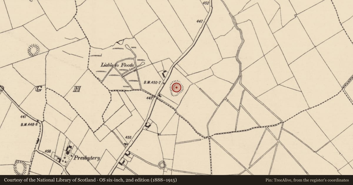 Ordnance Survey six-inch map, 2nd edition (1888–1915) covering the location of Ringfort - rath, Rathbeg, County Tipperary South, with a pin at the register's coordinates