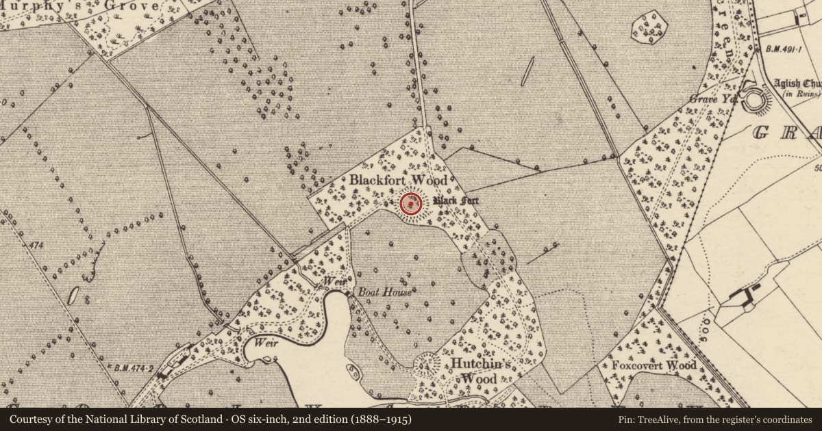 Ordnance Survey six-inch map, 2nd edition (1888–1915) covering the location of Ringfort - rath, Kilcoolyabbey, County Tipperary South, with a pin at the register's coordinates