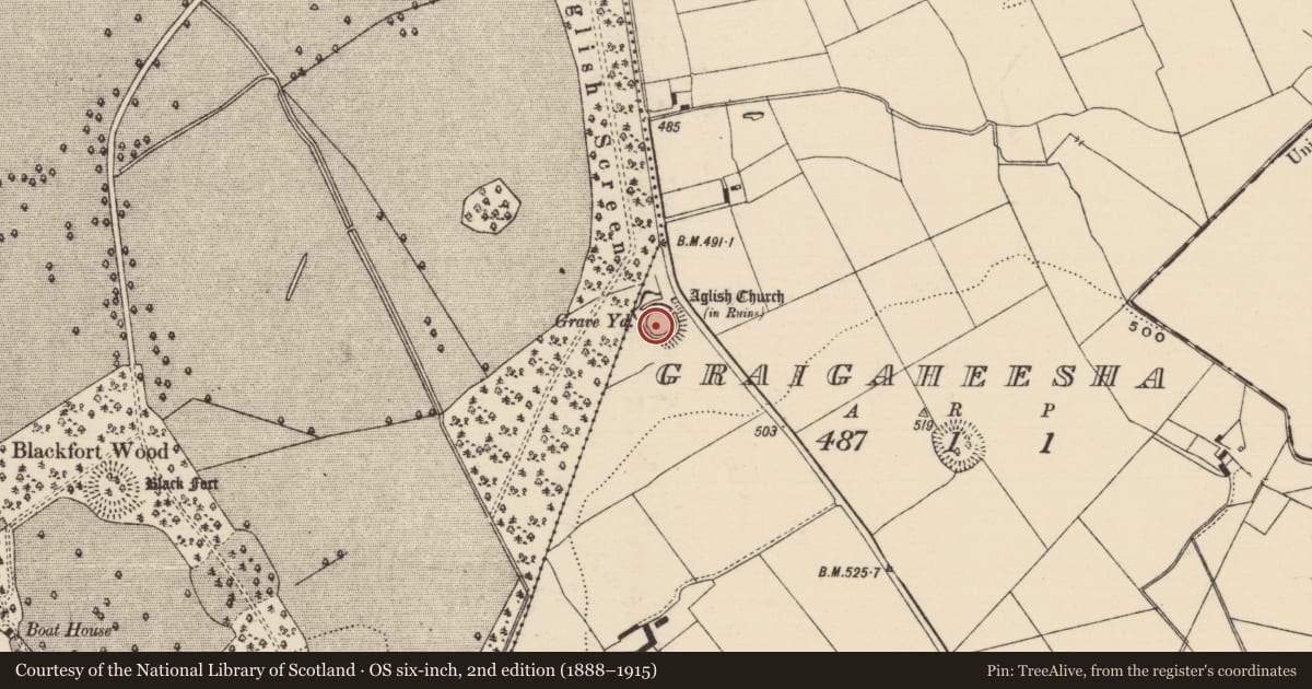 Ordnance Survey six-inch map, 2nd edition (1888–1915) covering the location of Church, Graigaheesha, County Tipperary South, with a pin at the register's coordinates