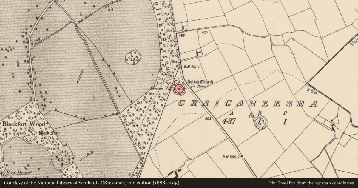 Ordnance Survey six-inch map, 2nd edition (1888–1915) covering the location of Graveyard, Graigaheesha, County Tipperary South, with a pin at the register's coordinates
