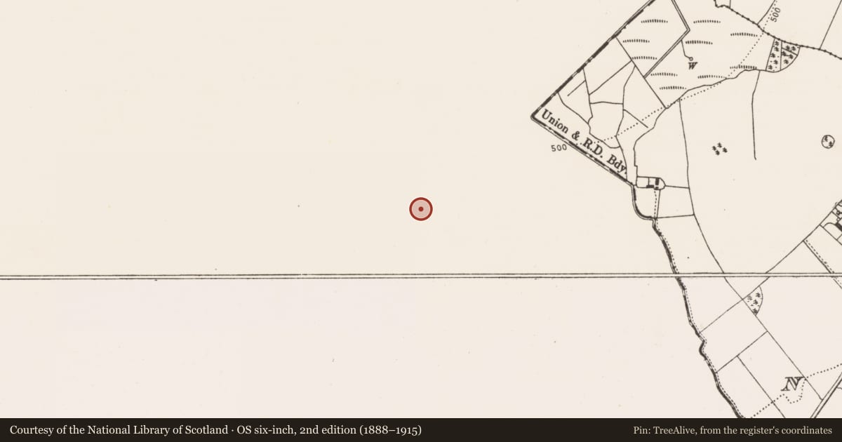 Ordnance Survey six-inch map, 2nd edition (1888–1915) covering the location of Ringfort - rath, Graigaheesha, County Tipperary South, with a pin at the register's coordinates