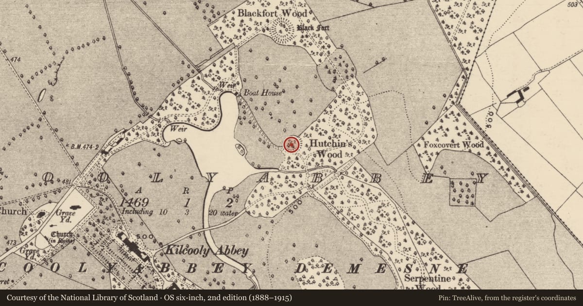 Ordnance Survey six-inch map, 2nd edition (1888–1915) covering the location of Ringfort - rath, Kilcoolyabbey, County Tipperary South, with a pin at the register's coordinates