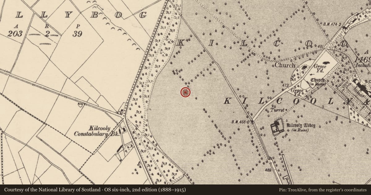 Ordnance Survey six-inch map, 2nd edition (1888–1915) covering the location of Mound, Kilcoolyabbey, County Tipperary South, with a pin at the register's coordinates