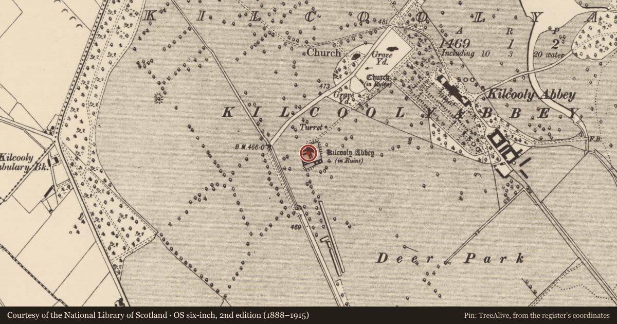 Ordnance Survey six-inch map, 2nd edition (1888–1915) covering the location of Religious house - Cistercian monks, Kilcoolyabbey, County Tipperary South, with a pin at the register's coordinates